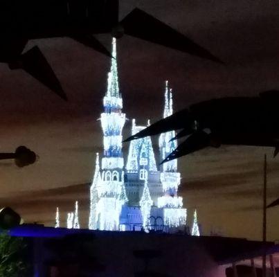 photo of Meredith B.