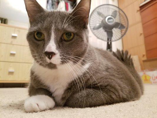 photo of Aleksandr C.