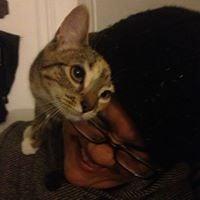 Photo of Taysha D.