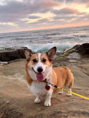 Photo of Lily B.
