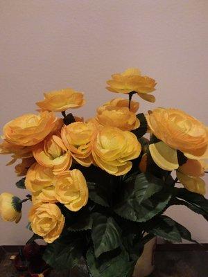 photo of Alenoosh H.