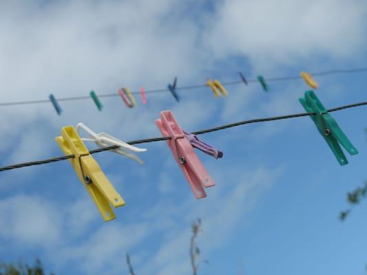 photo of Courtney P.