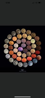 photo of Wendolyn L.