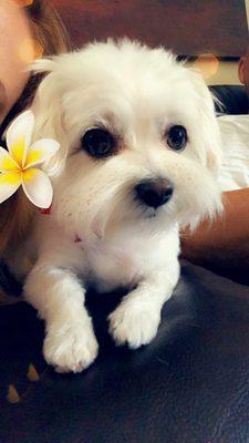 photo of Charlene H.