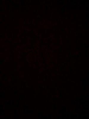 photo of Christine C.