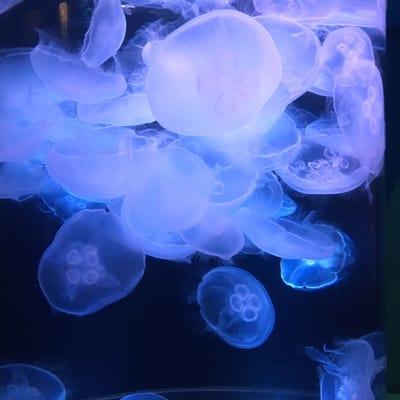 photo of Margaret K.