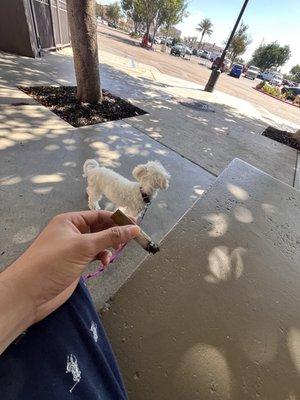 photo of Ariel Garcia G.