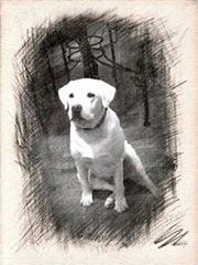 Photo of Jack K.
