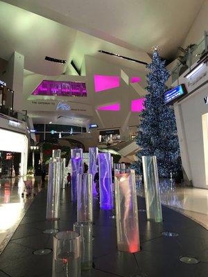 photo of Jennifer T.