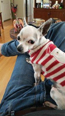 photo of Laura Maria R.