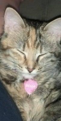 photo of Stefanie M.