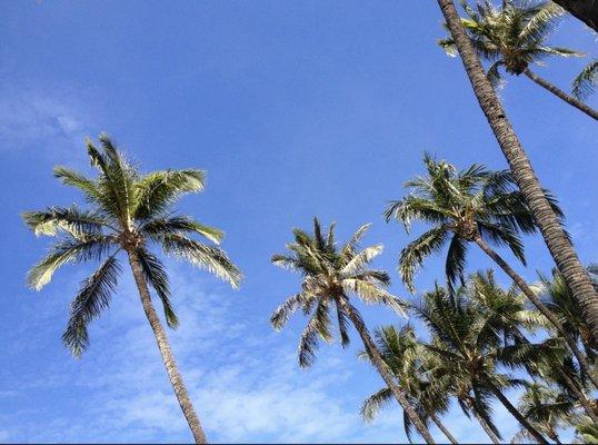 photo of Brittany D.