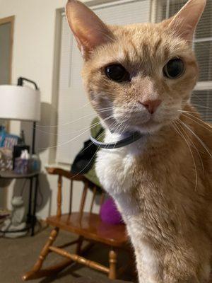 photo of Patricia C.