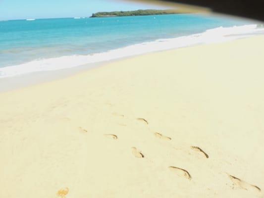 photo of Veronica L.