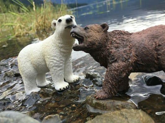 Photo of Bham Bears B.