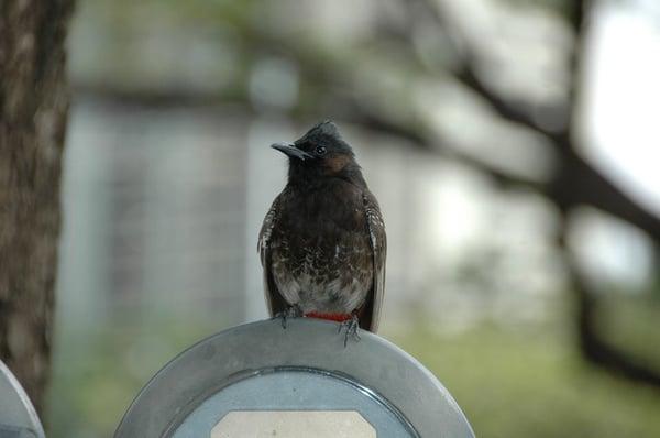 photo of Jennifer W.