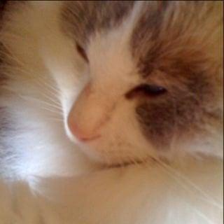 Photo of Prudence T.