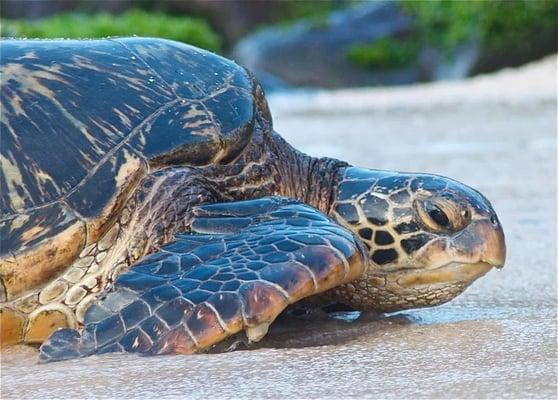 photo of Victoria F.