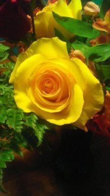 photo of Cristince C.