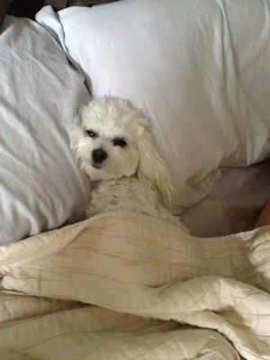 photo of Samantha N.