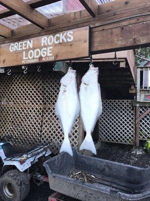 photo of Theresa. H.