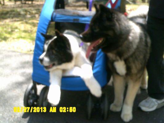 Photo of Karen D.