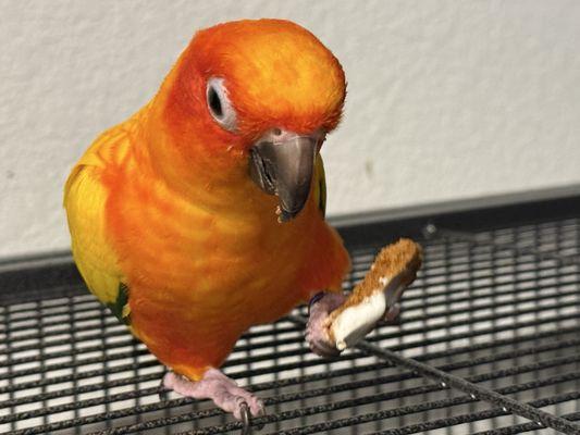 photo of Alejandro E.