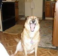 photo of Marguerite R.