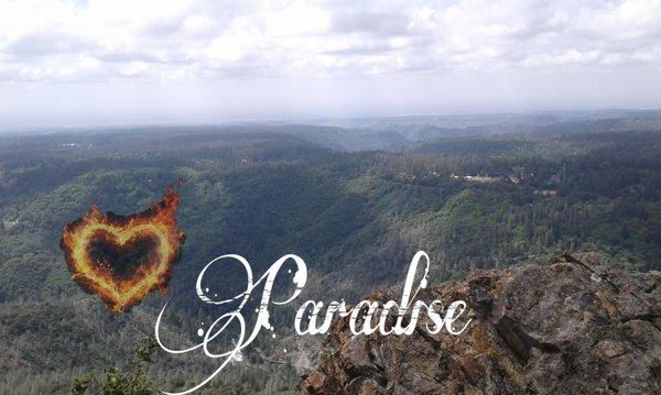 photo of Mandi L. E.