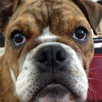 Photo of jonathan f.