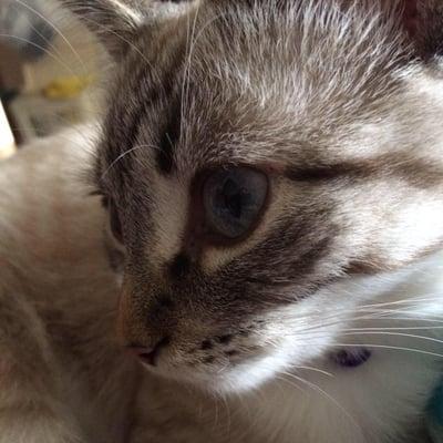 photo of Christina C.