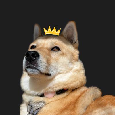 Photo of Leafy N.