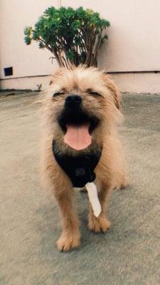 photo of Nathaniel F.