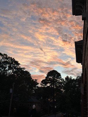 photo of Veronica L.