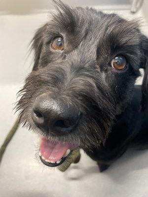 Photo of Xtine Lopez Z.