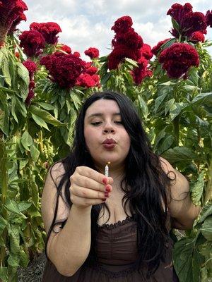 Photo of Maritza A.