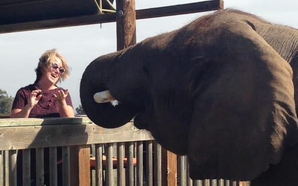 photo of Laurabell L.