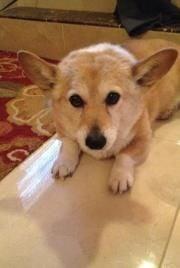 Photo of Kristine M.