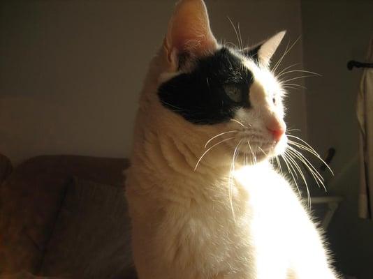 Photo of Lisa K.