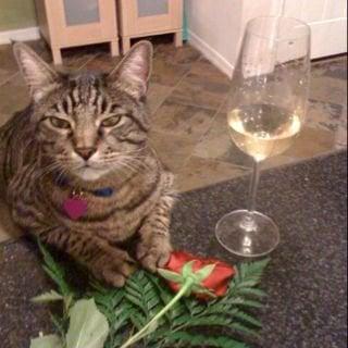 photo of Veronica G.