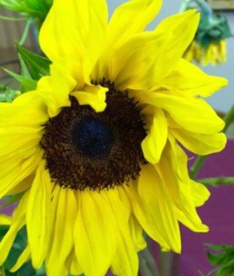 Photo of Kimberly M.