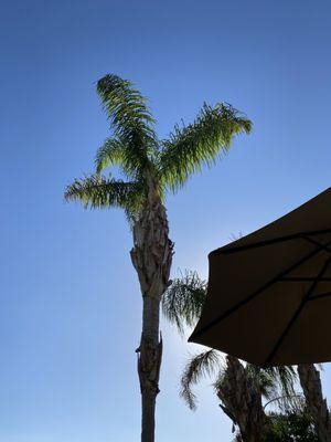 photo of Elizabeth A.