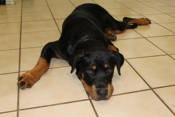 photo of Christine H.