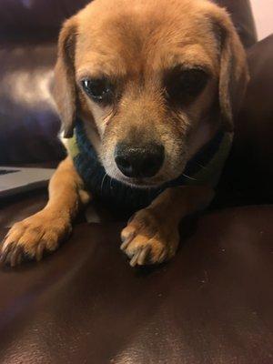 photo of Francisco E. V.