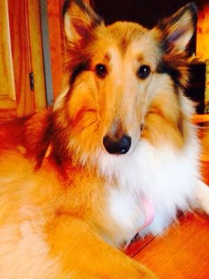 Photo of Cindy M.