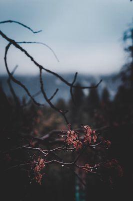 photo of Antoinette A.