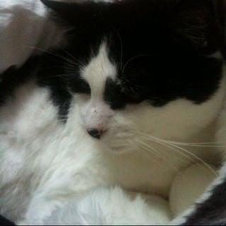 Photo of Ricki H.