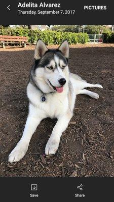 photo of Michelle C.