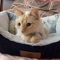 photo of Seraphina T.