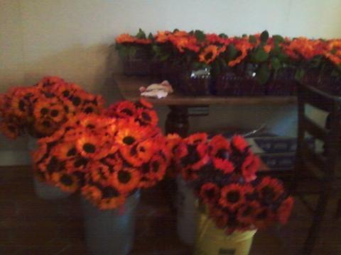 photo of Tongtawee F.